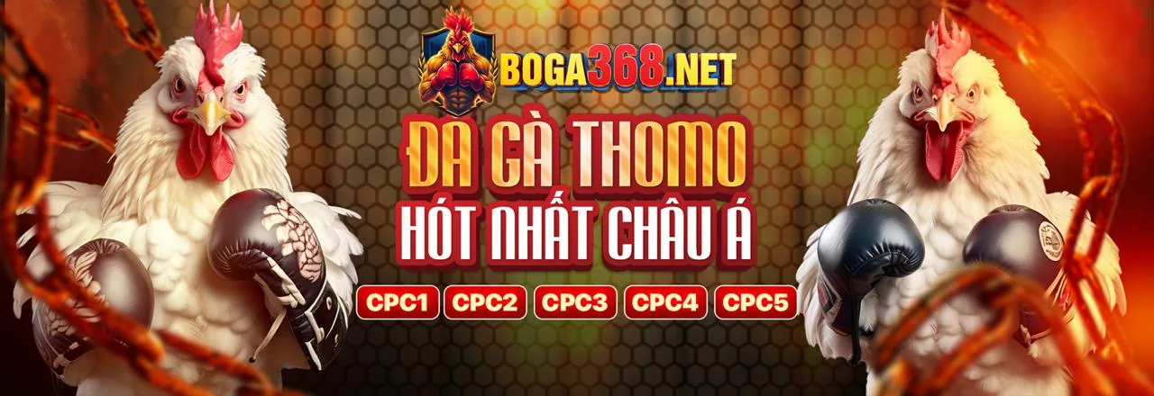 Bí quyết cá cược an toàn tại online casino